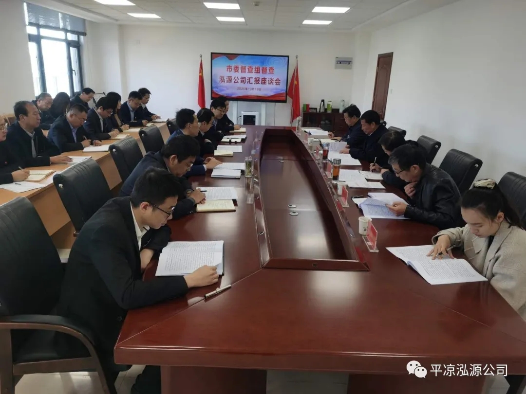 市委辦公室、市政府國(guó)資委督查泓源公司工作(圖4)